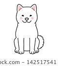 Vector illustration of a Hokkaido dog (full body, front view, sitting). 142517541