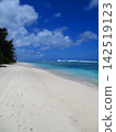 Guam Ritidian Beach (Diorama Style) 142519123