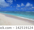 Guam Ritidian Beach (Diorama Style) 142519124