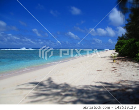 Guam Ritidian Beach (Diorama Style) Guam Ritidian Beach (Diorama Style) 142519129