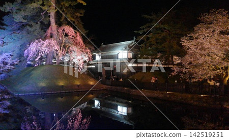 The fantastical night cherry blossoms and castle reflected on the water's surface The fantastical night cherry blossoms and castle reflected on the water's surface 142519251