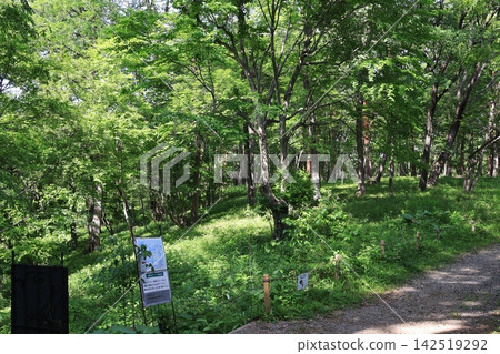 Scenery from a forest park in Namegawa Town, Saitama Prefecture Scenery from a forest park in Namegawa Town, Saitama Prefecture 142519292