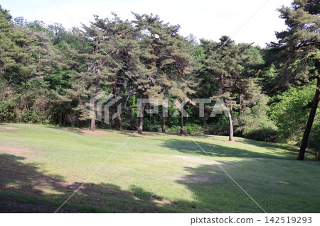 Scenery from a forest park in Namegawa Town, Saitama Prefecture Scenery from a forest park in Namegawa Town, Saitama Prefecture 142519293