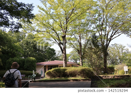 Scenery from a forest park in Namegawa Town, Saitama Prefecture 142519294