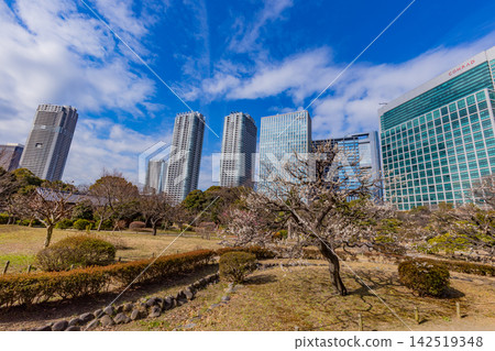 【東京】濱離宮庭園：初春時節，都市中心的寧靜綠洲 142519348