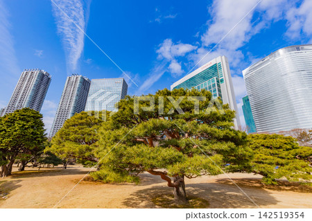 【東京】濱離宮庭園:初春時節,都市中心的寧靜綠洲 【東京】濱離宮庭園:初春時節,都市中心的寧靜綠洲 142519354