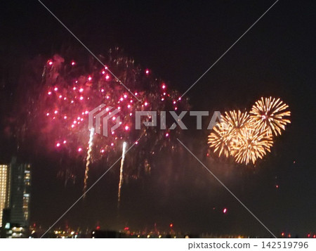 紅色和金色的煙火照亮了夜空。 紅色和金色的煙火照亮了夜空。 142519796