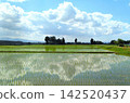 The sky reflected in the rice paddies of the scattered village 142520437