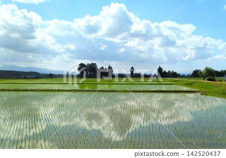 The sky reflected in the rice paddies of the scattered village 142520437