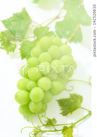 Shine Muscat grapes being splashed with water Shine Muscat grapes being splashed with water 142520610