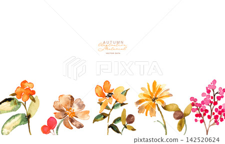 秋季水彩植物邊框和背景模板套裝 秋季水彩植物邊框和背景模板套裝 142520624
