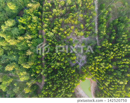 Aerial top down view of young forest plantation with scattered trees and small ponds in Thailand. Reforestation, sustainable land management, carbon capture and ecosystem restoration. Climate action. Aerial top down view of young forest plantation with scattered trees and small ponds in Thailand. Reforestation, sustainable land management, carbon capture and ecosystem restoration. Climate action. 142520750