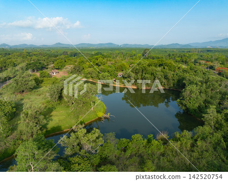 Freshwater lake among tropical forest. Watershed protection, natural carbon storage, biodiversity and sustainable environment. Water conservation, biodiversity and sustainable natural resources. Freshwater lake among tropical forest. Watershed protection, natural carbon storage, biodiversity and sustainable environment. Water conservation, biodiversity and sustainable natural resources. 142520754