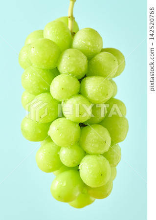 Shine Muscat Shine Muscat 142520768