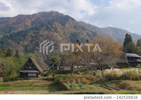秋天的五簇山,相倉村 秋天的五簇山,相倉村 142520816