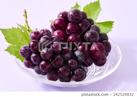 Kyoho grapes served on a glass plate Kyoho grapes served on a glass plate 142520832