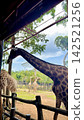 在越南富國島動物園，您可以享受餵長頸鹿和近距離接觸動物的樂趣。 142521256