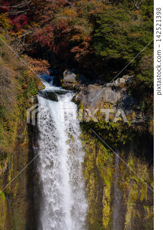 [Waterfall Material] Autumn Otodome Falls, Fujinomiya City, Yamanashi Prefecture [Shizuoka Prefecture] 142521398