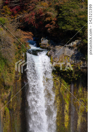 [Waterfall Material] Autumn Otodome Falls, Fujinomiya City, Yamanashi Prefecture [Shizuoka Prefecture] 142521399