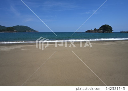 Sea Turtle Beach 3 (Ohama Beach, Hiwasaura, Minami-cho, Kaifu-gun, Tokushima Prefecture) Sea Turtle Beach 3 (Ohama Beach, Hiwasaura, Minami-cho, Kaifu-gun, Tokushima Prefecture) 142521545