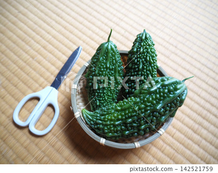 新鮮採摘的苦瓜 142521759