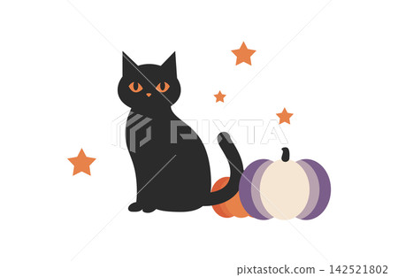 Halloween black cat and pumpkin Halloween black cat and pumpkin 142521802