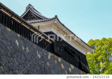 松江城 142522110
