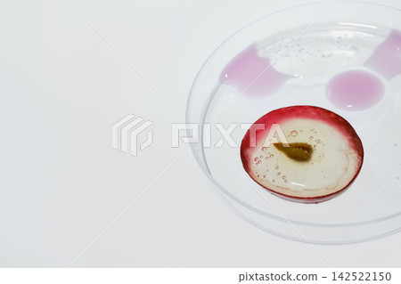 grape slice in petri dish with liquid, representing natural ingredient research grape slice in petri dish with liquid, representing natural ingredient research 142522150