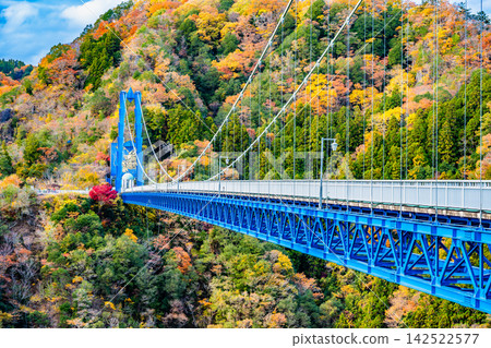 茨城縣：秋色籠罩下的龍神吊橋。 142522577