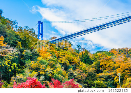 Ibaraki: Ryujin Suspension Bridge bathed in autumn colors. 142522585