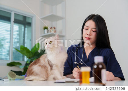 Asian female veterinarian writing medical chart notes beside fluffy cat on clinic desk Asian female veterinarian writing medical chart notes beside fluffy cat on clinic desk 142522606