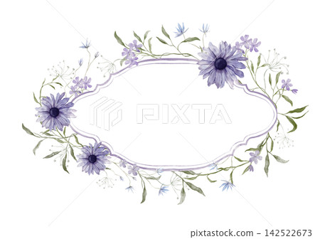 Hand-painted watercolor horizontal oval frame with violet daisy flowers, pale bell blooms and sage sprigs on white background. Wide botanical border, center copy space. Wreath with purple chamomiles Hand-painted watercolor horizontal oval frame with violet daisy flowers, pale bell blooms and sage sprigs on white background. Wide botanical border, center copy space. Wreath with purple chamomiles 142522673