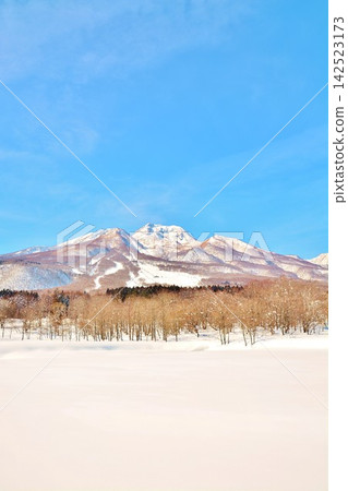 Snowy scenery of Mt. Myoko Snowy scenery of Mt. Myoko 142523173