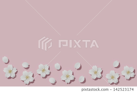 White cherry blossoms on a pink background (3DCG) White cherry blossoms on a pink background (3DCG) 142523174