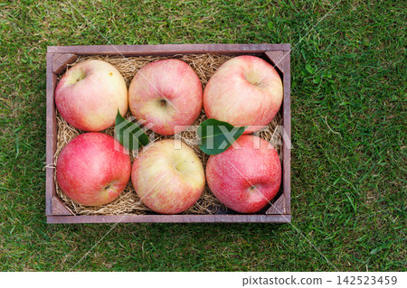 Fresh red apples in wooden crate on green grass Fresh red apples in wooden crate on green grass 142523459