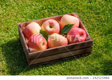 Fresh red apples in wooden crate on green grass Fresh red apples in wooden crate on green grass 142523460