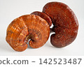 Dried lingzhi mushroom alternative medicine herbal organic herb. 142523487