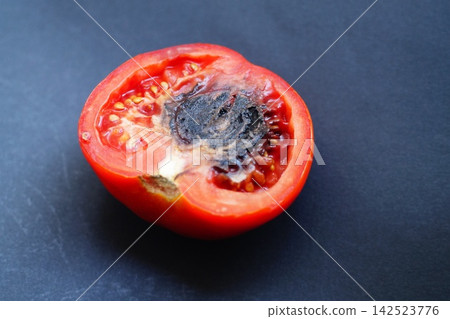 Internal damage to a ripe red tomato fruit, manifested as black necrosis of the dense core, revealed after cutting it in half. Plant diseases and damage, crop storage issues in agribusiness Internal damage to a ripe red tomato fruit, manifested as black necrosis of the dense core, revealed after cutting it in half. Plant diseases and damage, crop storage issues in agribusiness 142523776