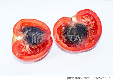 Internal damage to a ripe red tomato fruit, manifested as black necrosis of the dense core, revealed after cutting it in half. Plant diseases and damage, crop storage issues in agribusiness Internal damage to a ripe red tomato fruit, manifested as black necrosis of the dense core, revealed after cutting it in half. Plant diseases and damage, crop storage issues in agribusiness 142523806