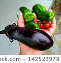 Freshly harvested eggplants, bell peppers, and cherry tomatoes from our home garden. 142523978