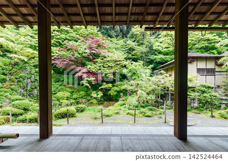 [Higashiomi City, Shiga Prefecture] Kongorinji Temple, Myojuin: Garden view from the veranda 142524464