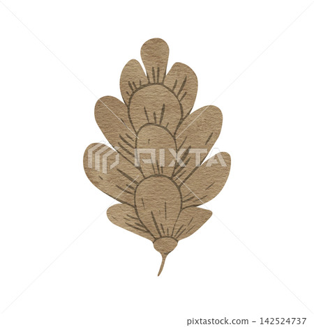 Watercolor pine cone evergreen tree. Hand drawn botanical illustration isolated image on background for Christmas greetings, cards, wallpapers, invitation Watercolor pine cone evergreen tree. Hand drawn botanical illustration isolated image on background for Christmas greetings, cards, wallpapers, invitation 142524737