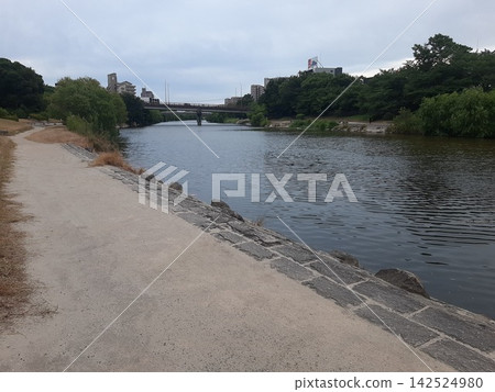 A landscape with a river; along the river; a large river. A landscape with a river; along the river; a large river. 142524980