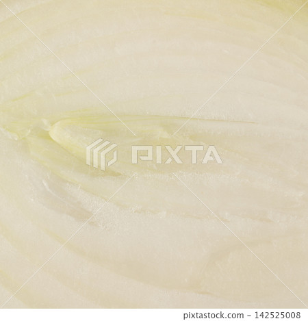 onion isolated texture background half slice onion isolated texture background half slice 142525008