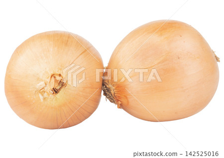 onion isolated on white background onion isolated on white background 142525016