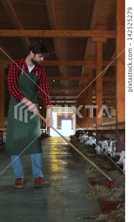 Vertical video. Farm worker caring for goats in an eco-friendly way. Vertical video. Farm worker caring for goats in an eco-friendly way. 142525279