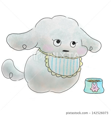 一隻玩具貴賓犬仰著頭,用小狗般的眼神望著前方,等待著它的餐點。 一隻玩具貴賓犬仰著頭,用小狗般的眼神望著前方,等待著它的餐點。 142526073