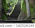 Moss-covered stone steps of a shrine 142526149