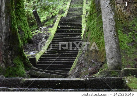 神社裡長滿青苔的石階 神社裡長滿青苔的石階 142526149