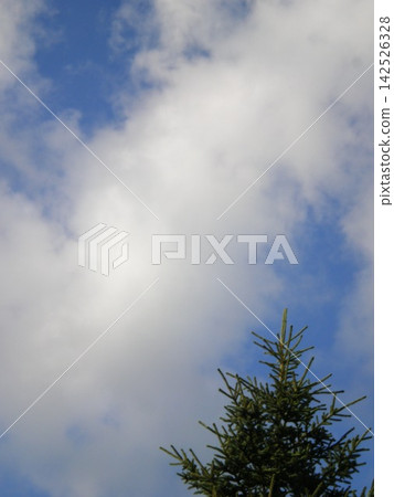 夏日的天空 夏日的天空 142526328